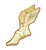 Gold Winged Foot Chenille Pin - Metal