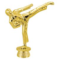 5 1/4" Male Martial Arts Gold Trophy Figure