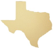 10 1/2" x 11 1/4" Satin Gold Texas Plaque Blank Plate - fits T-12