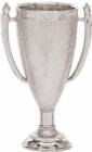 Silver 4 3/8" Plastic Trophy Cup