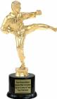 10 1/2" Karate Male Trophy Kit with Pedestal Base