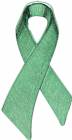 2 1/2" Green Awareness Ribbon Plaque Mount