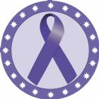 2" Purple Awareness Ribbon Trophy Insert
