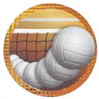 2" Dazzle Volleyball Trophy Insert