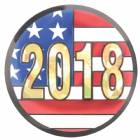 2" US Flag 2018 Holographic Mylar Trophy Insert