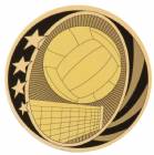 2" Volleyball MidNite Star Series Trophy Insert