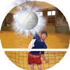Volleyball Male 3D Graphic 2" Insert