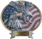 USA Eagle - Legend Series Resin Award 6 1/2" x 6"