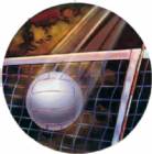 Volleyball 2" Holographic Insert