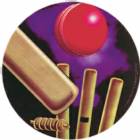 Cricket 2" Holographic Insert