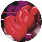 Boxing 2" Holographic Insert