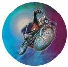 BMX 2" Holographic Insert