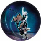Rodeo Bull 2" Holographic Insert