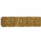 Gold Coach Lapel Chenille Insignia Pin - Metal
