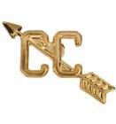 Gold Cross Country Lapel Chenille Insignia Pin - Metal