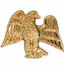 Gold Eagle Lapel Chenille Insignia Pin - Metal