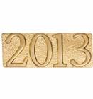 Gold 2013 Lapel Chenille Insignia Pin - Metal