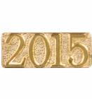 Gold 2015 Lapel Chenille Insignia Pin - Metal