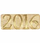 Gold 2016 Lapel Chenille Insignia Pin - Metal