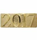 Gold 2017 Lapel Chenille Insignia Pin - Metal