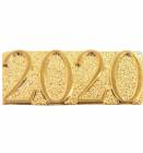 Gold 2020 Lapel Chenille Insignia Pin - Metal