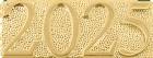 Gold 2025 Lapel Chenille Insignia Pin - Metal