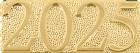 Gold 2025 Lapel Chenille Insignia Pin - Metal