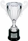 9 3/4" Silver Metal Cup Trophy