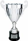 14 1/2" Silver Metal Cup Trophy