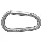 Gray Polar Camel Water Bottle Carabiner