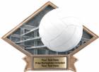 6" x 8 1/2" Volleyball Diamond Trophy Plate Hand Painted