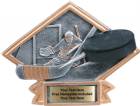 4 1/2" x 6" Hockey Diamond Trophy Plate Hand Painted