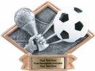 4 1/2" x 6" Soccer Diamond Trophy Plate Hand Painted