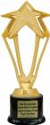 9" Gold 3-D Rising Star Trophy Kit with Pedestal Base
