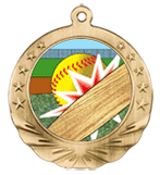 3D Softball Motion Award Medal 2 3/4"