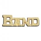 Gold Band Lapel Chenille Insignia Pin - Metal