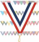 7/8" x 32" Neck Ribbon with Snap Clip - 37 color choices