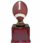 17 1/2" Hand Painted Lifesize Football Resin Trophy Kit