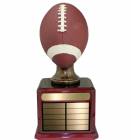 17 1/2" Hand Painted Fantasy Football Resin Trophy Kit