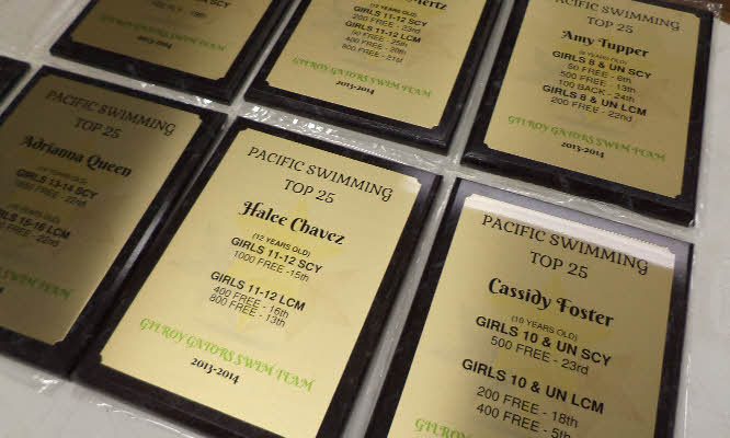 Sublimated gold plaque plates with full color